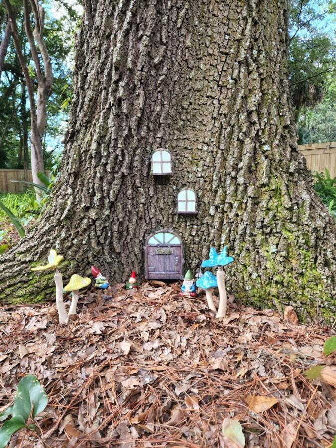 Cozy Hideaway In The Duck Pond Area Of Gainesville Exterior photo